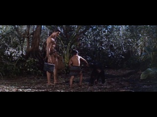 tarzan and the valley of gold 1966